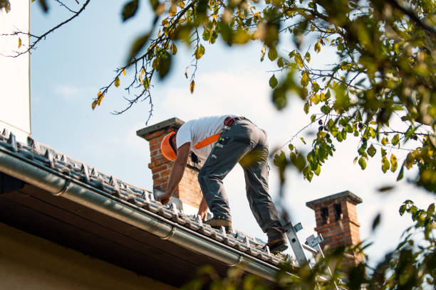Best Roof Repair Services  in West Baraboo, WI